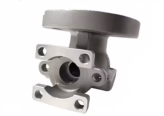 Válvula de pie de hierro fundido/piezas de la válvula de mariposa de acero inoxidable/válvula de globo de hierro fundido PN16/fundición del cuerpo de la válvula de retención oscilante